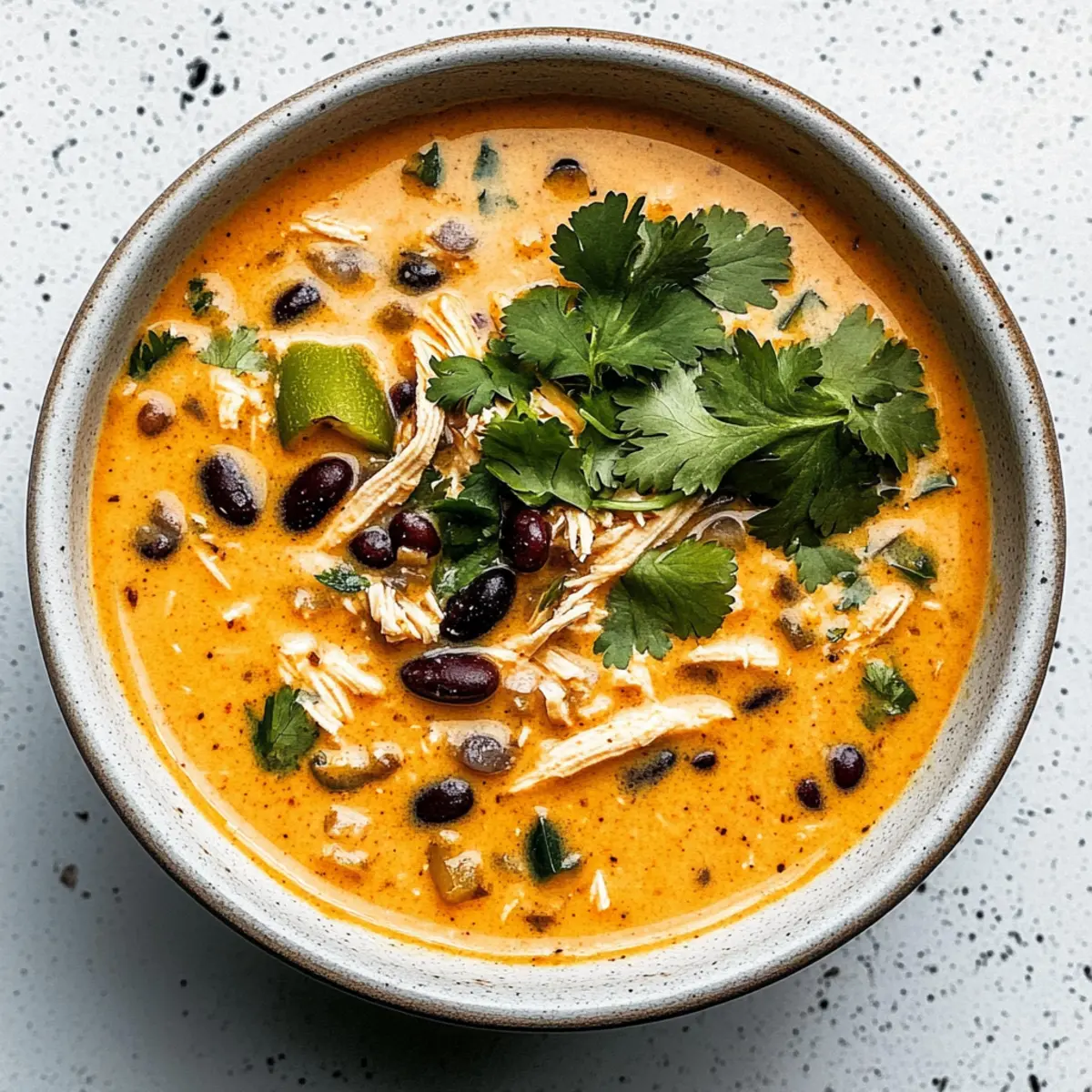 Chicken Poblano and Black Bean Soup a1ao2k